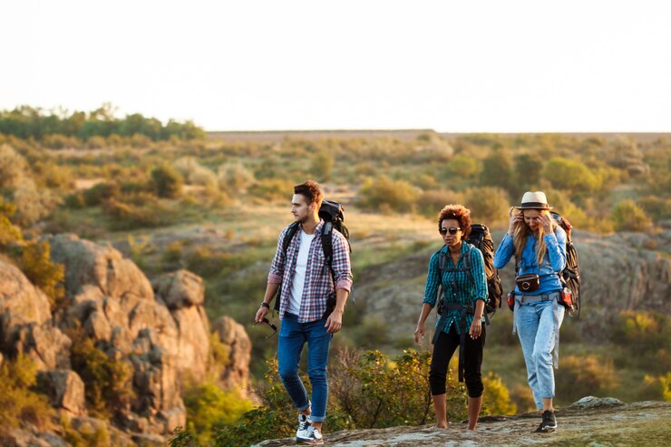 The Essential Gear for Every Outdoor Adventure The Essential Gear for Every Outdoor Adventure